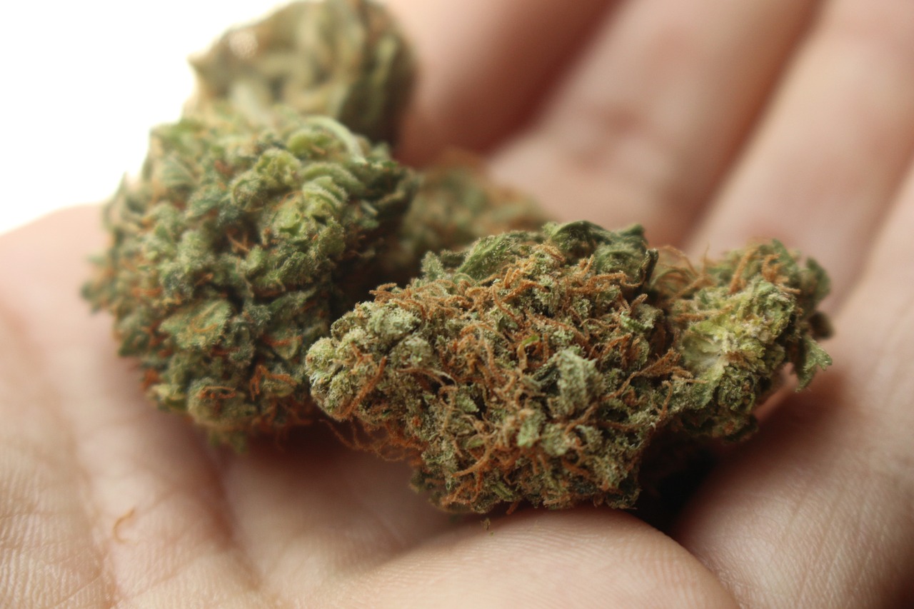 weeds